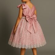 kid frock b