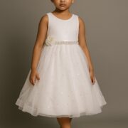 kids frock f