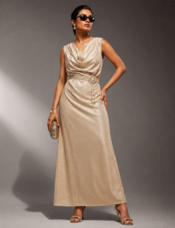 Champagne Cowl Neck Draped Gown
